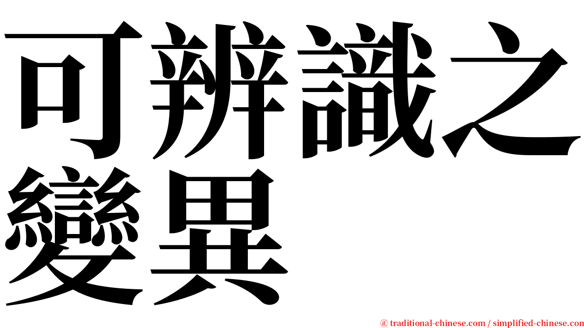 可辨識之變異 serif font