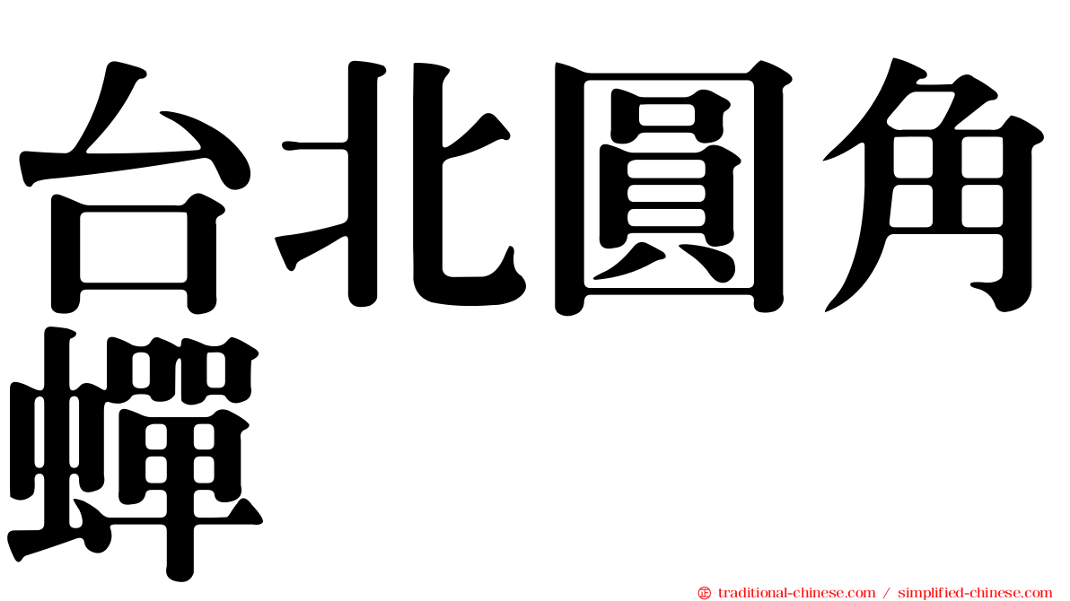 台北圓角蟬