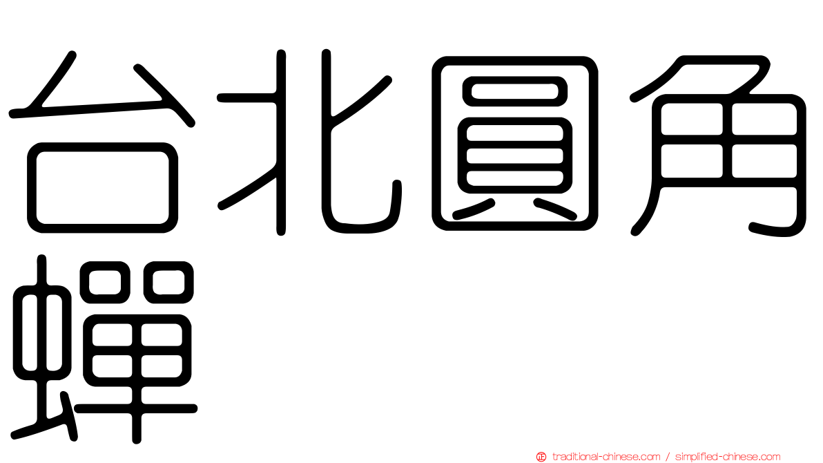 台北圓角蟬