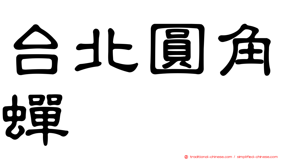 台北圓角蟬