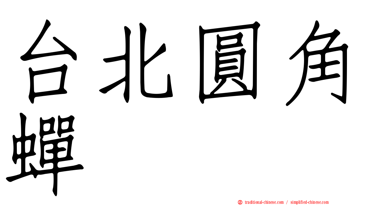台北圓角蟬