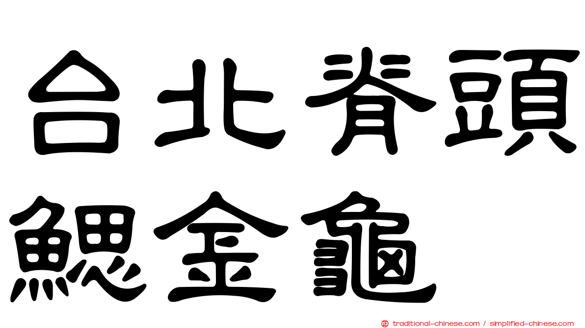 台北脊頭鰓金龜