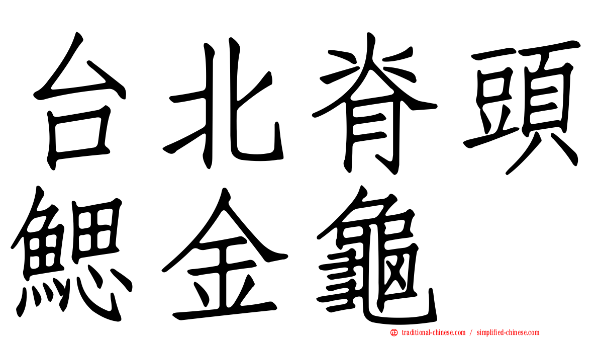台北脊頭鰓金龜
