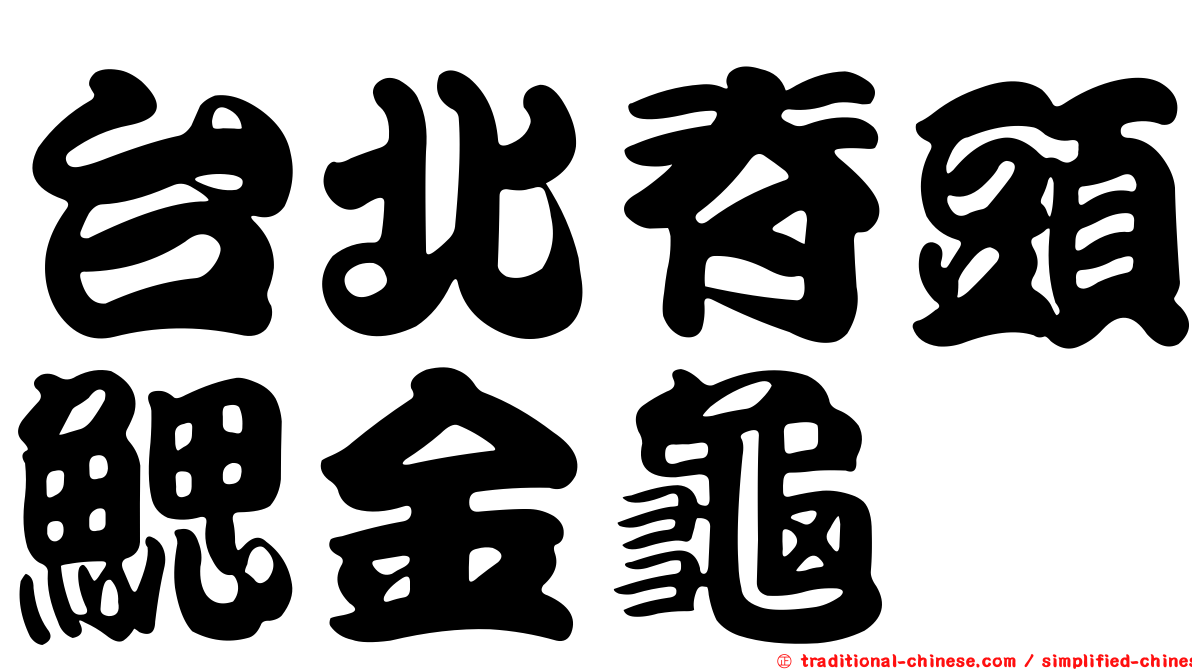 台北脊頭鰓金龜