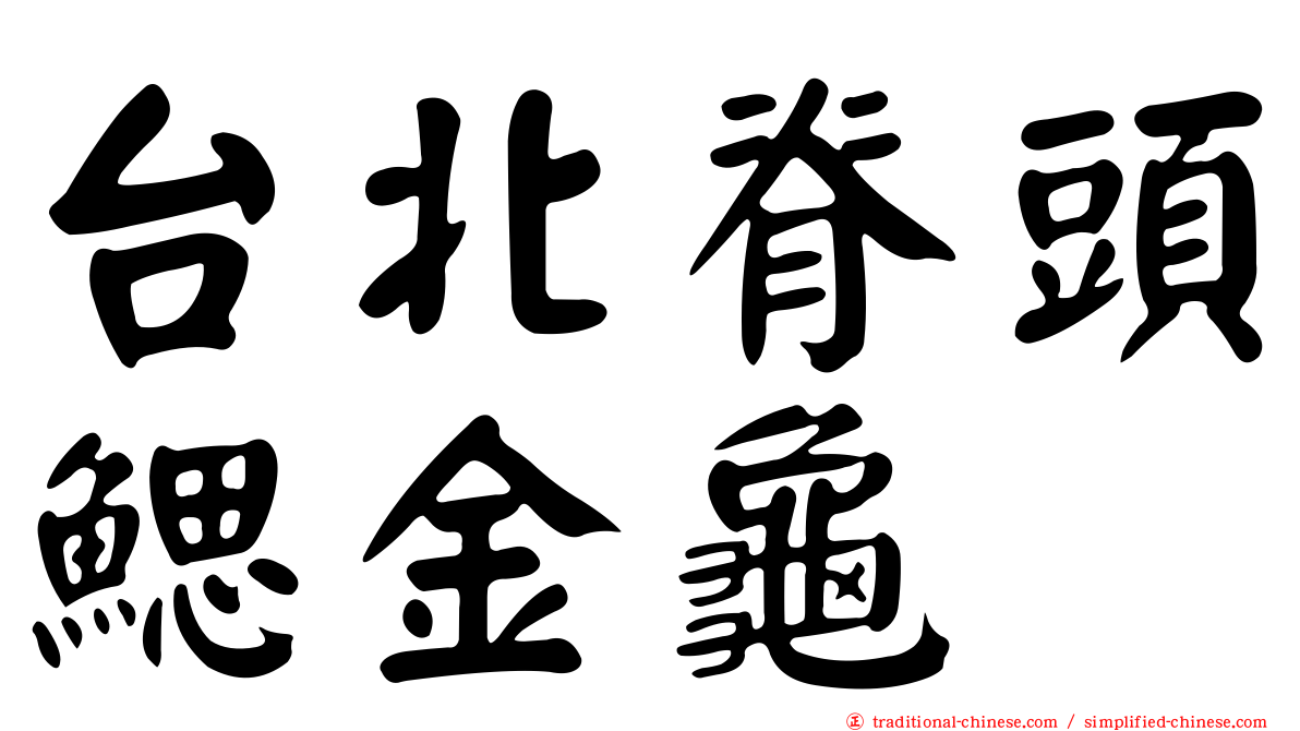台北脊頭鰓金龜