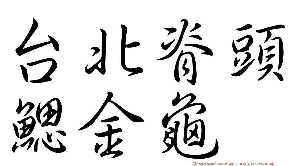 台北脊頭鰓金龜