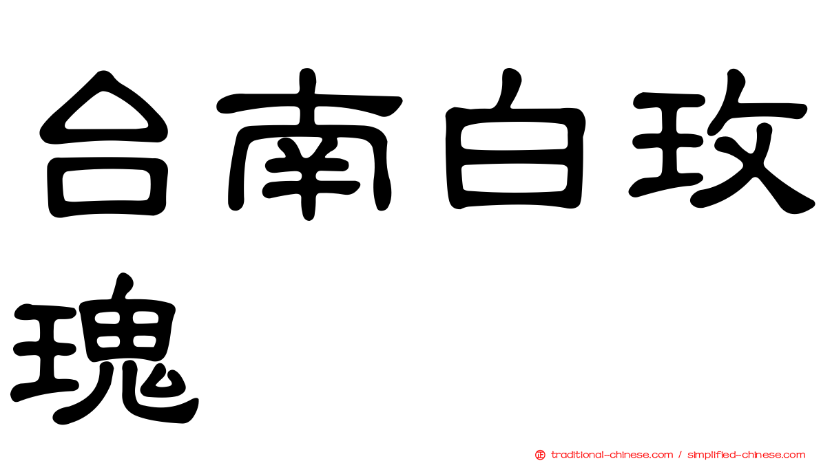台南白玫瑰