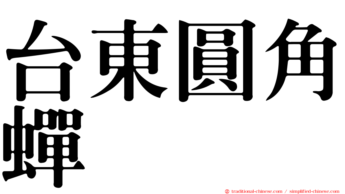 台東圓角蟬