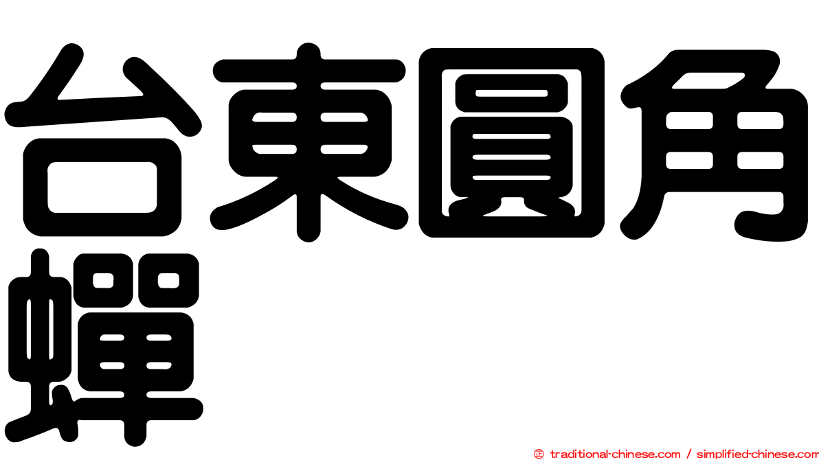 台東圓角蟬