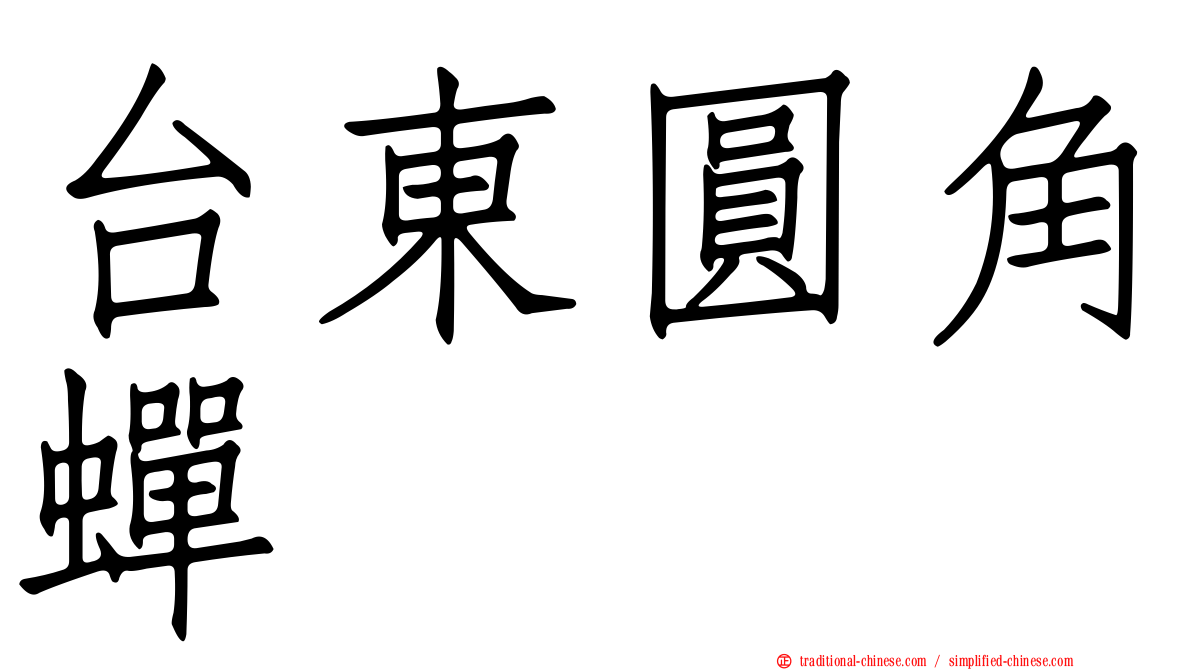 台東圓角蟬