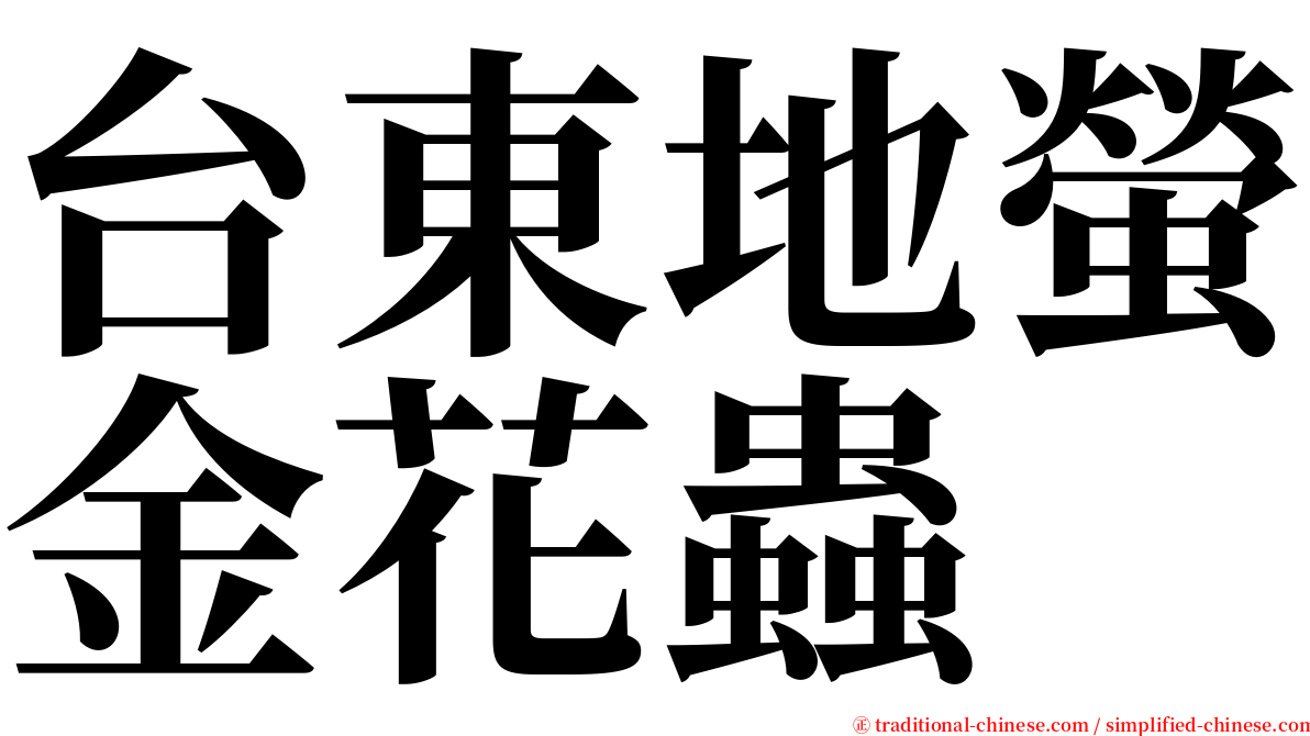 台東地螢金花蟲 serif font