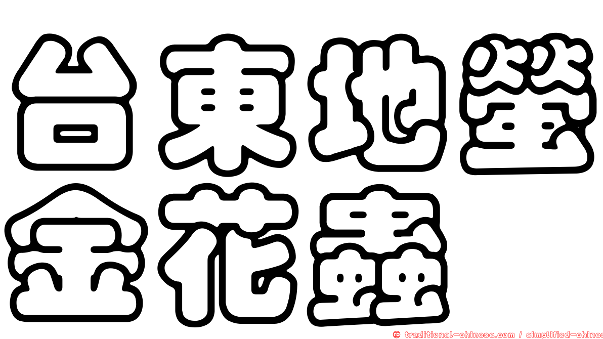 台東地螢金花蟲