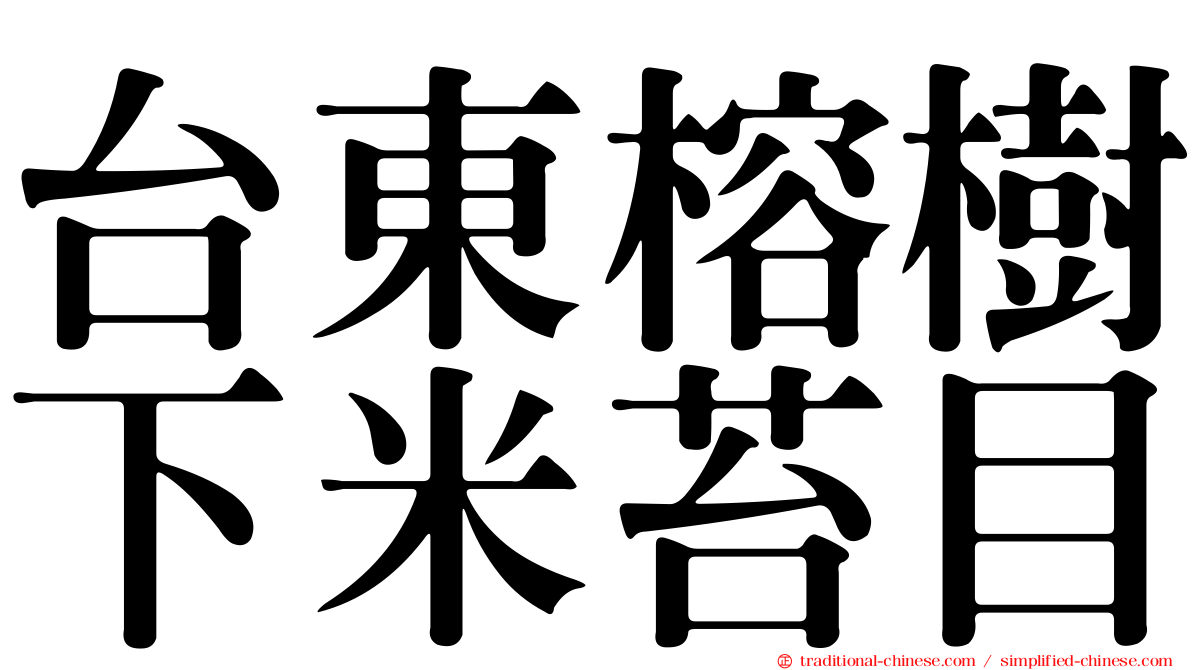 台東榕樹下米苔目