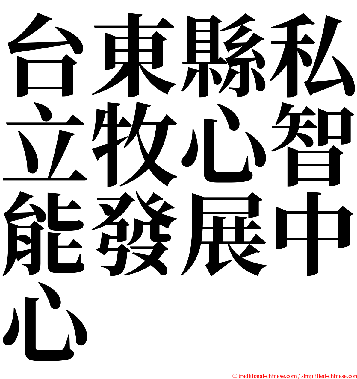 台東縣私立牧心智能發展中心 serif font