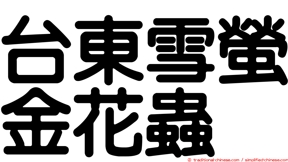 台東雪螢金花蟲