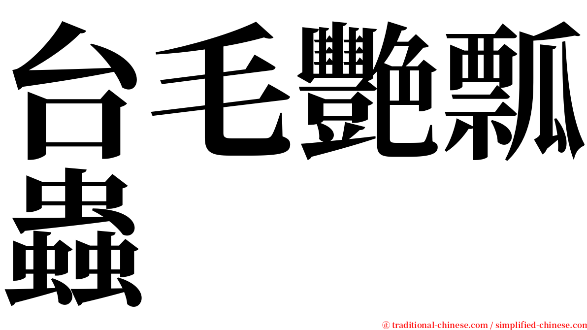 台毛艷瓢蟲 serif font