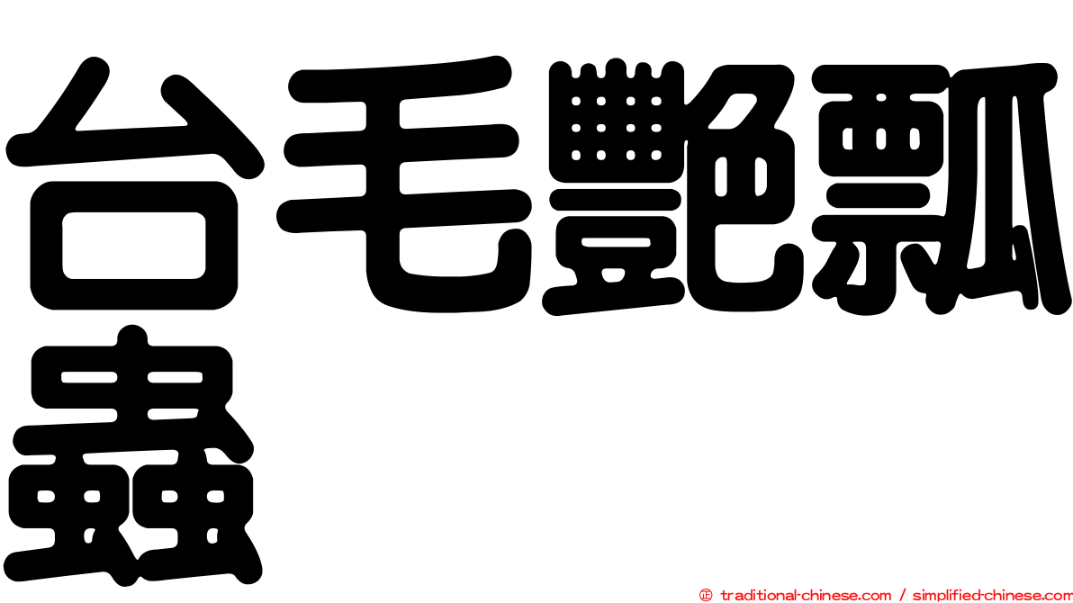台毛艷瓢蟲