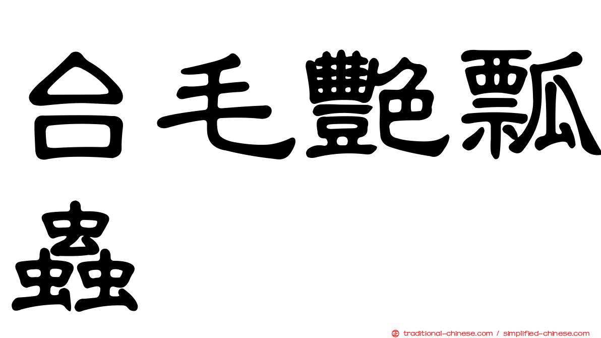台毛艷瓢蟲