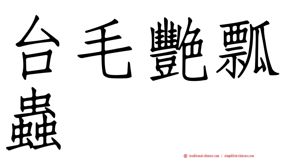 台毛艷瓢蟲