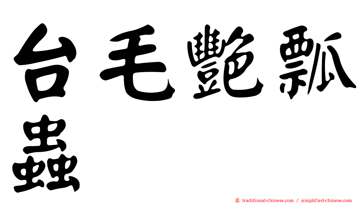 台毛艷瓢蟲