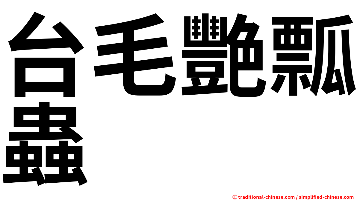 台毛艷瓢蟲