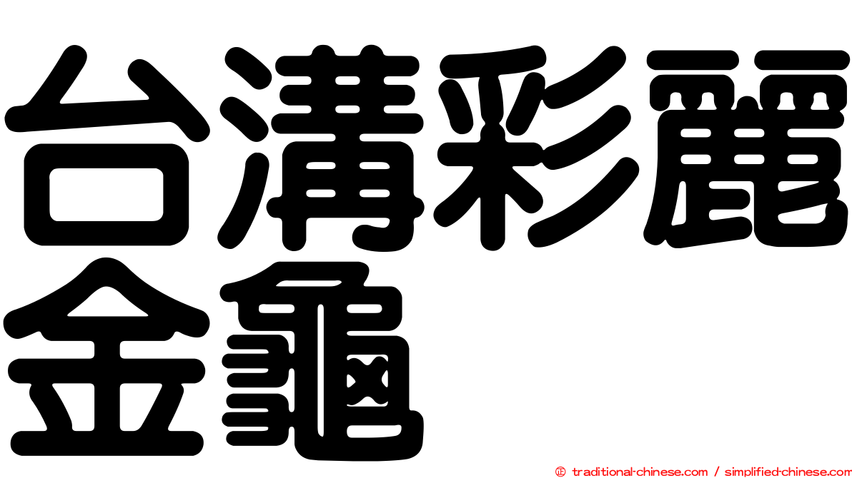 台溝彩麗金龜