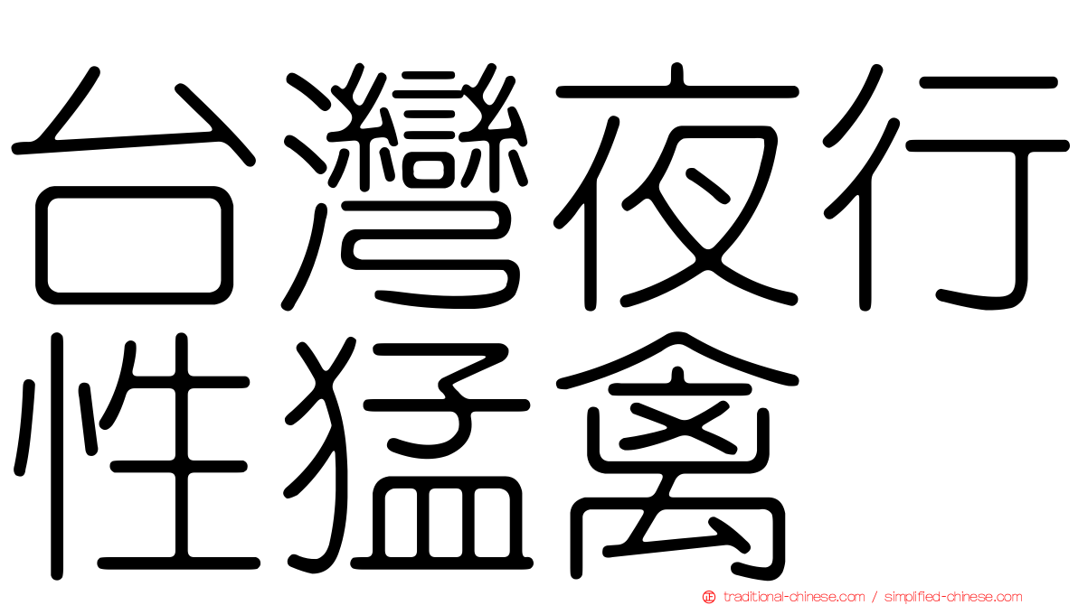 台灣夜行性猛禽