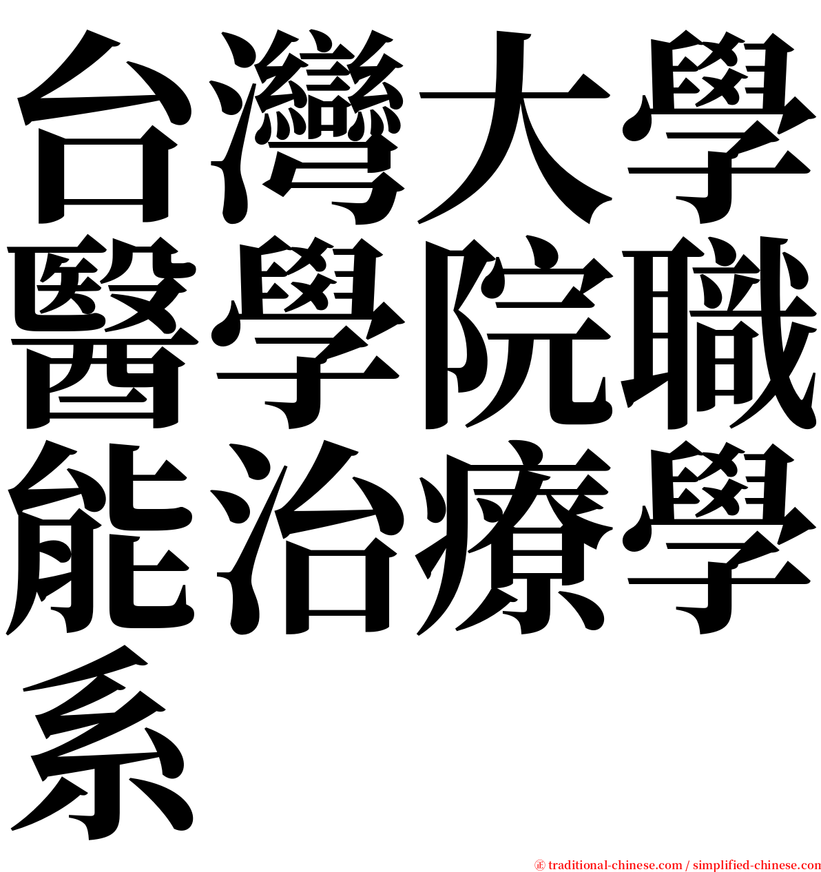 台灣大學醫學院職能治療學系 serif font