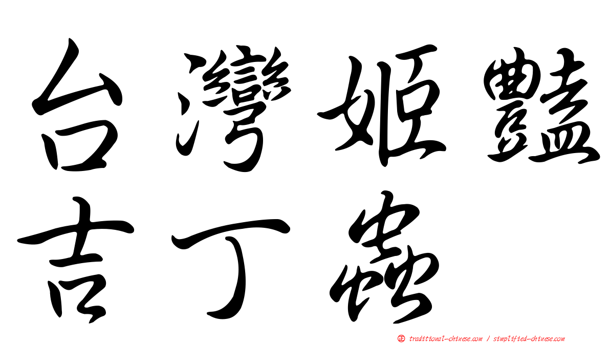 台灣姬豔吉丁蟲