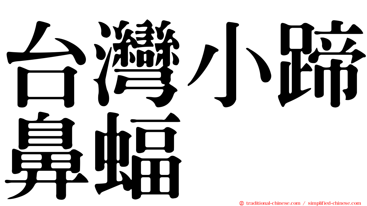 台灣小蹄鼻蝠
