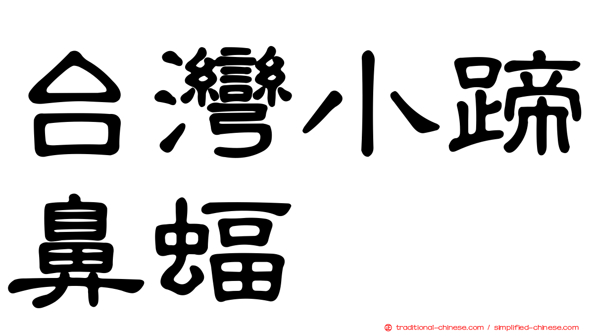 台灣小蹄鼻蝠