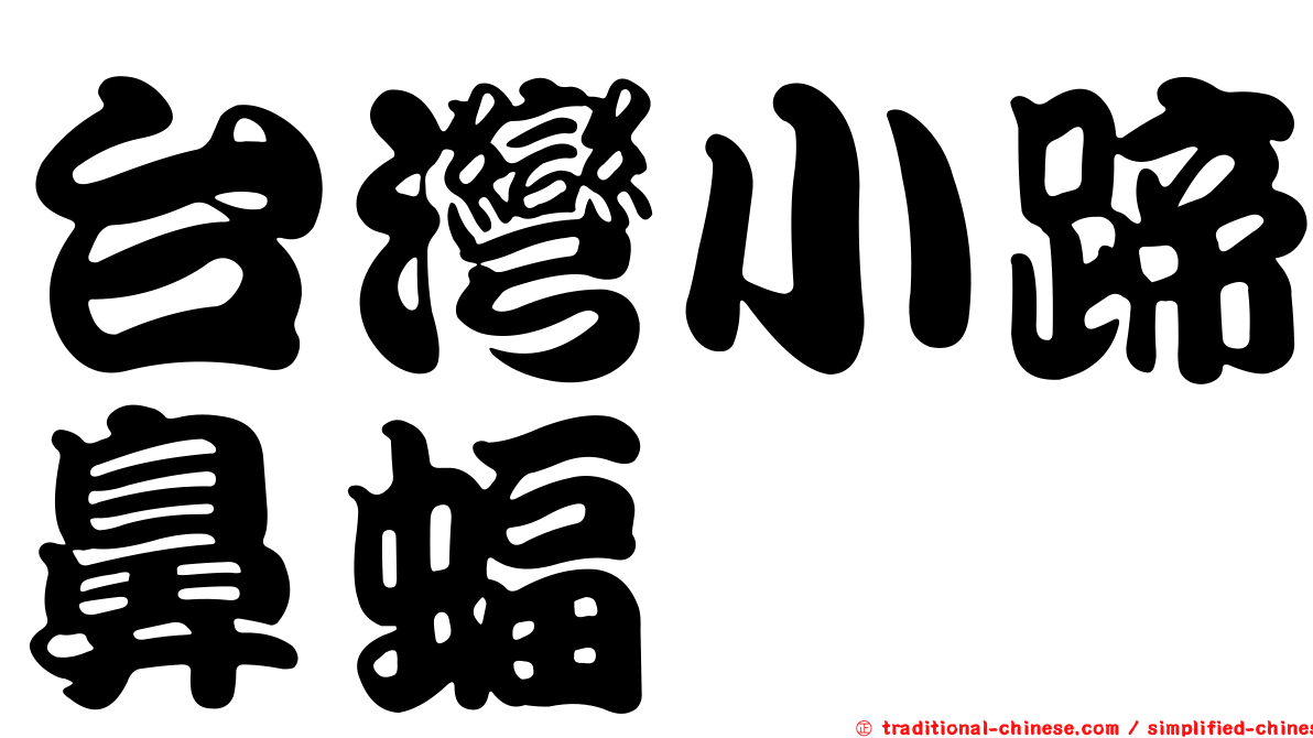 台灣小蹄鼻蝠