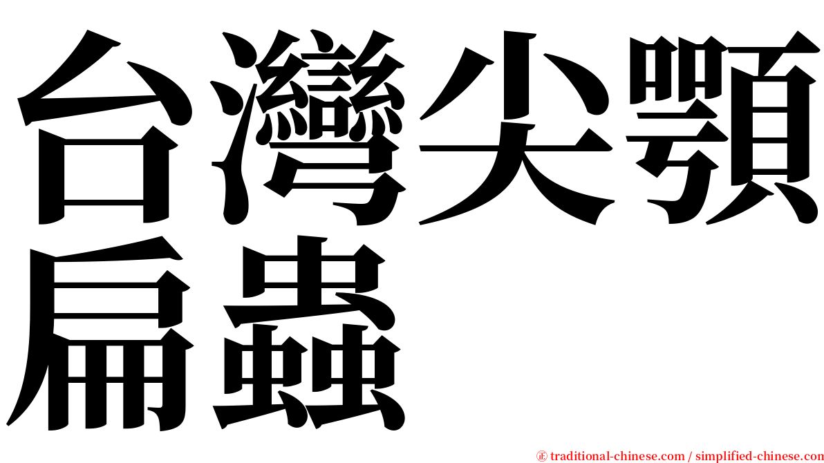 台灣尖顎扁蟲 serif font