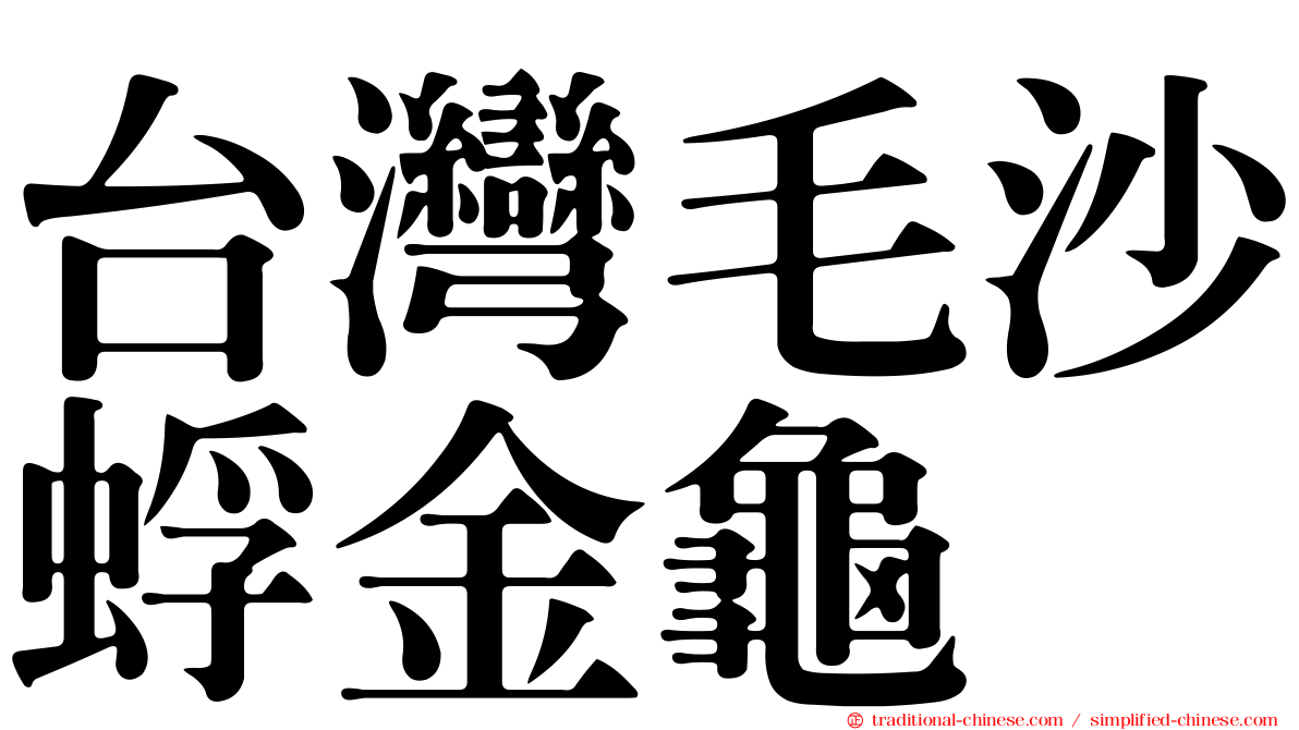 台灣毛沙蜉金龜
