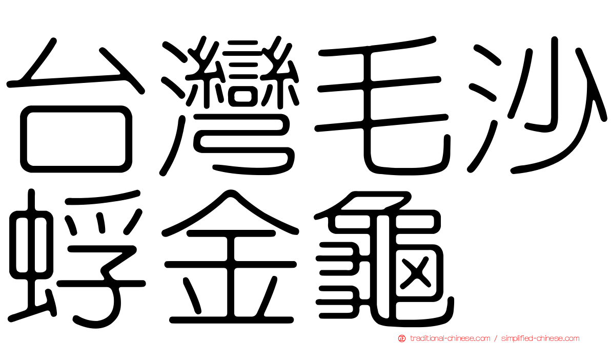 台灣毛沙蜉金龜