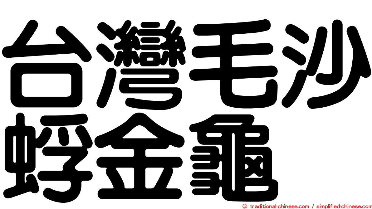 台灣毛沙蜉金龜