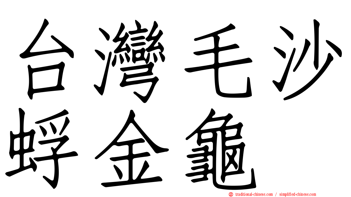 台灣毛沙蜉金龜