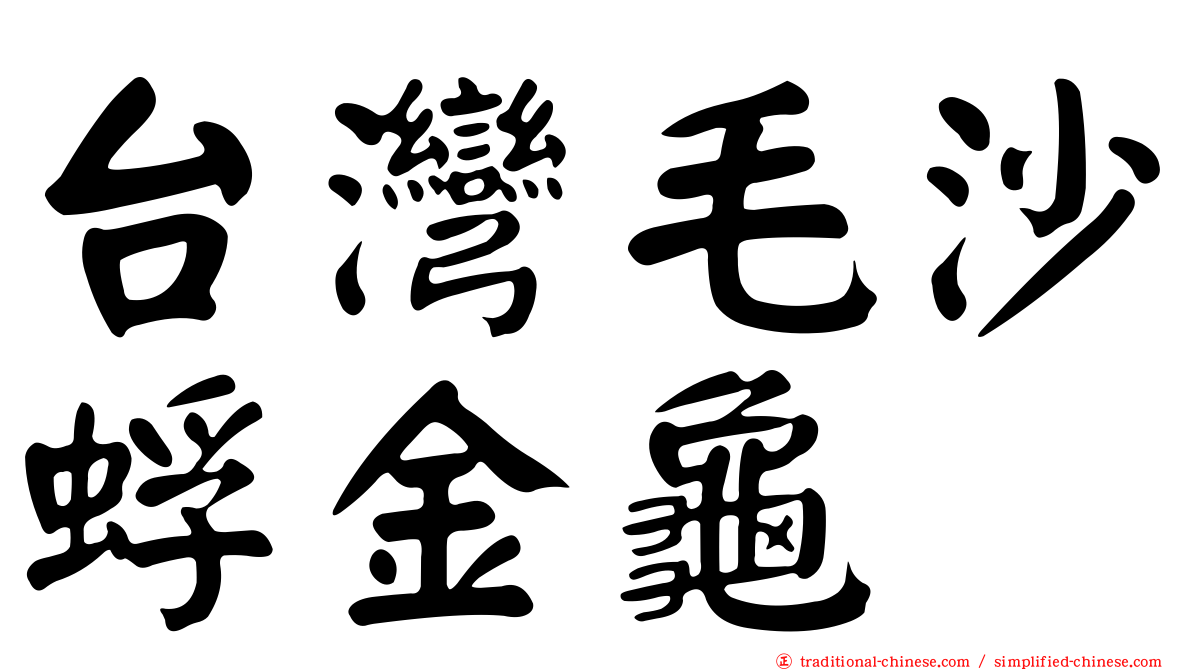 台灣毛沙蜉金龜