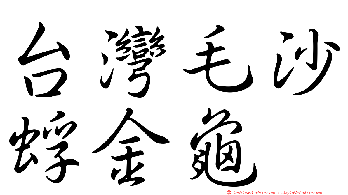 台灣毛沙蜉金龜