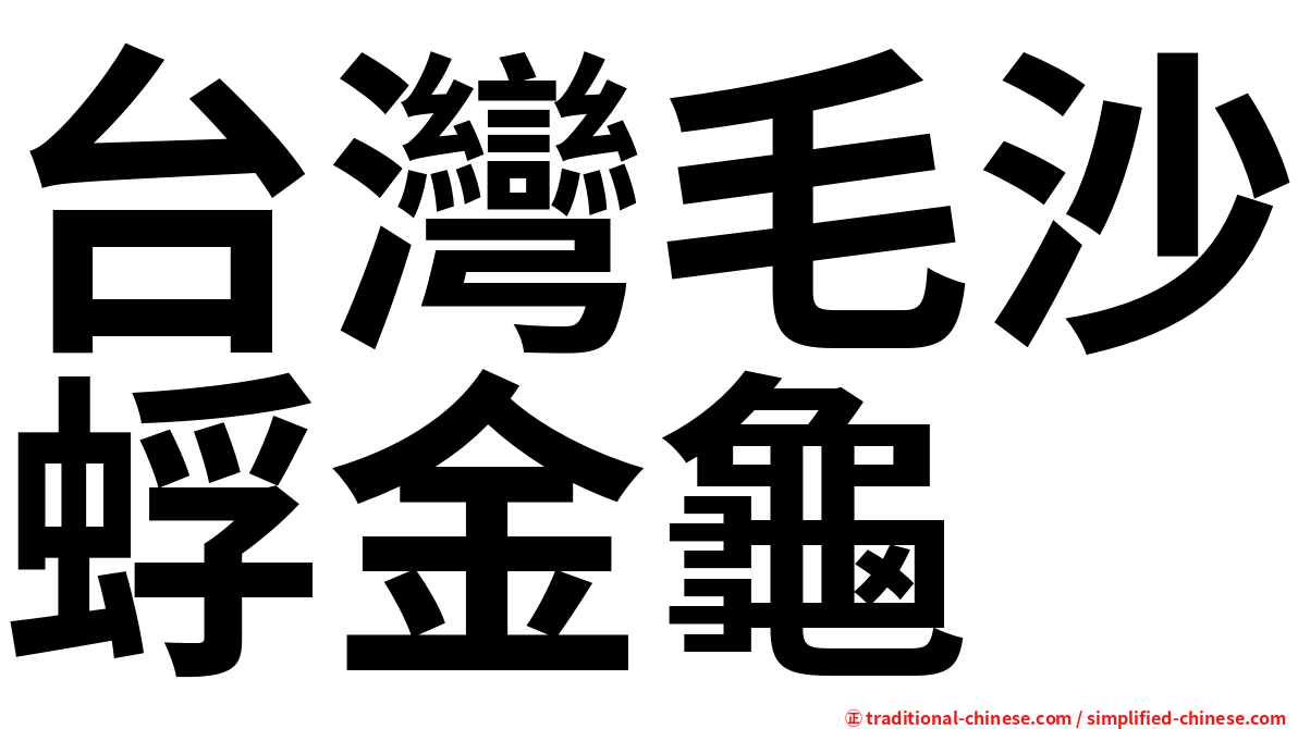 台灣毛沙蜉金龜