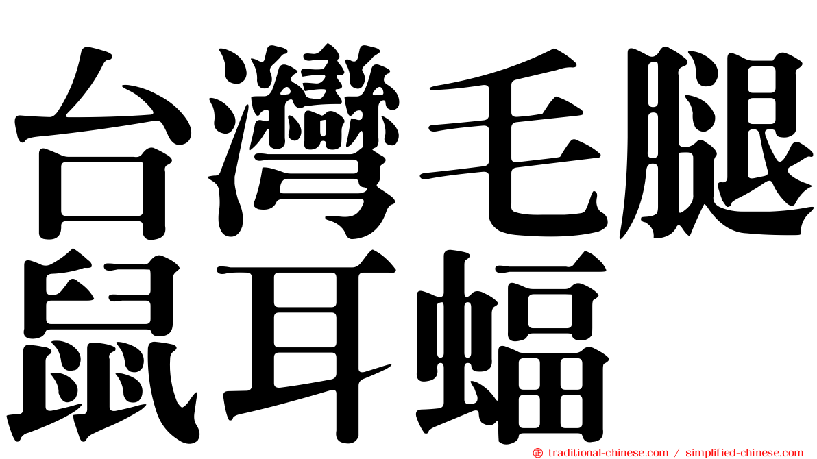 台灣毛腿鼠耳蝠