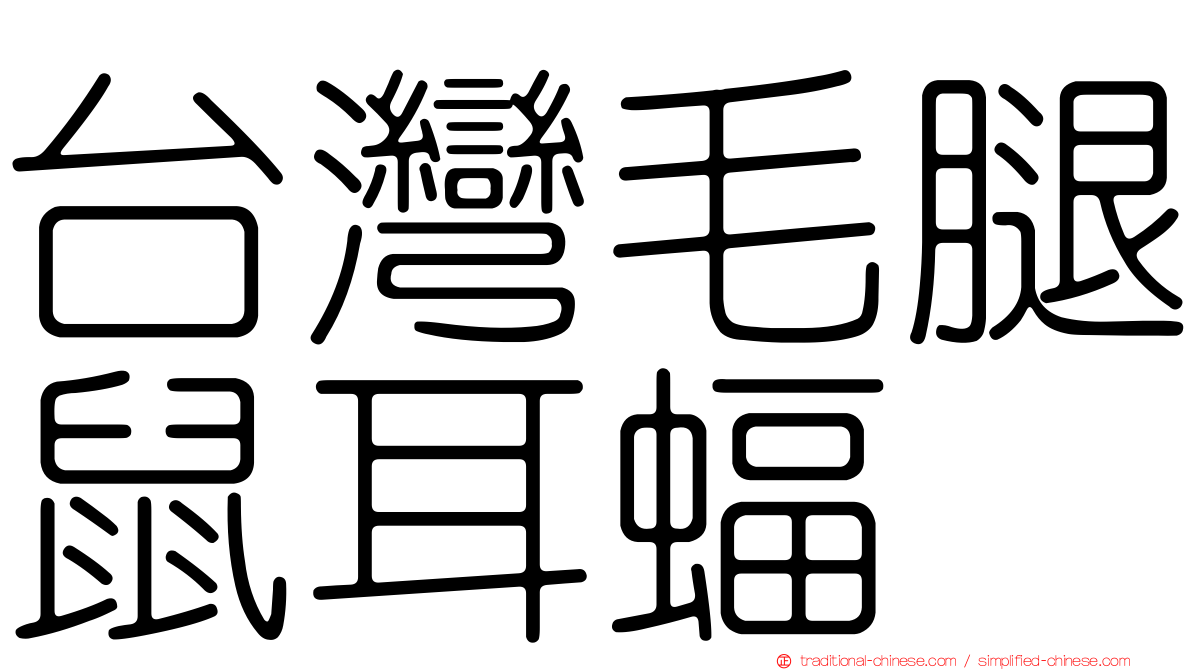 台灣毛腿鼠耳蝠