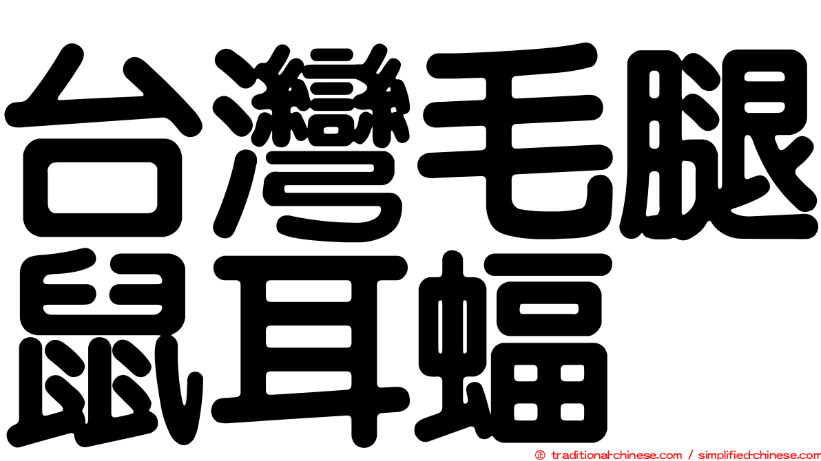 台灣毛腿鼠耳蝠