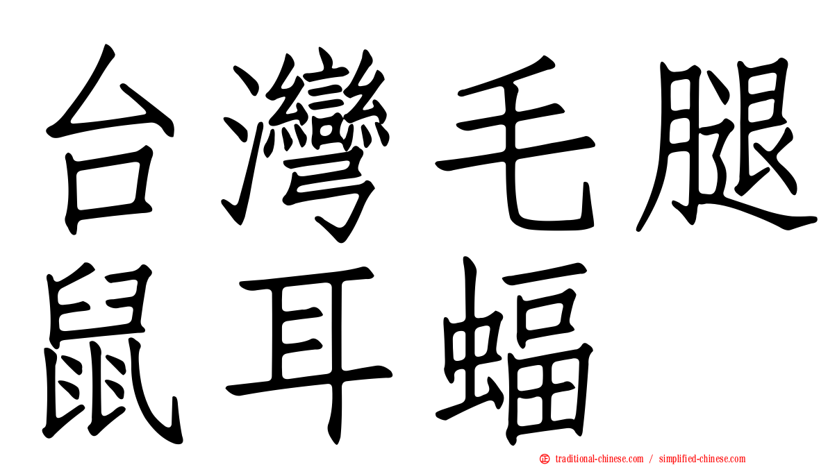 台灣毛腿鼠耳蝠
