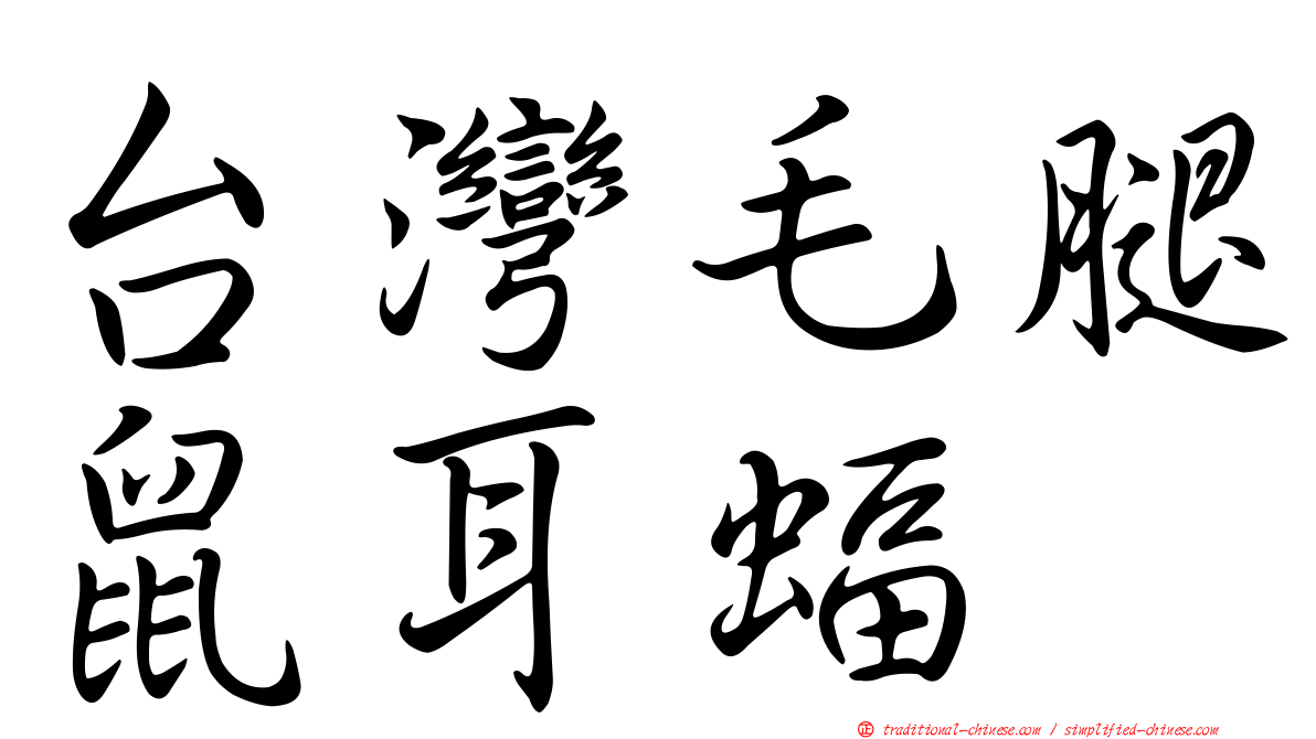 台灣毛腿鼠耳蝠