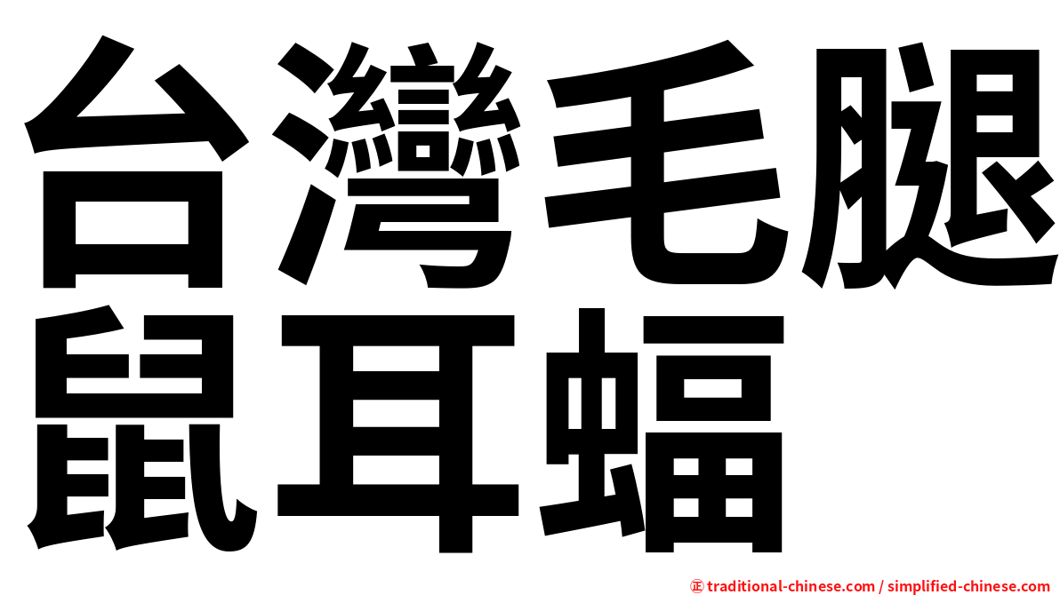 台灣毛腿鼠耳蝠