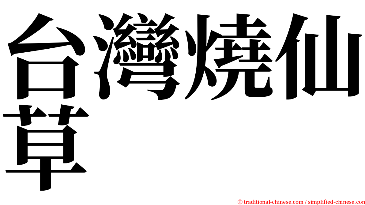 台灣燒仙草 serif font