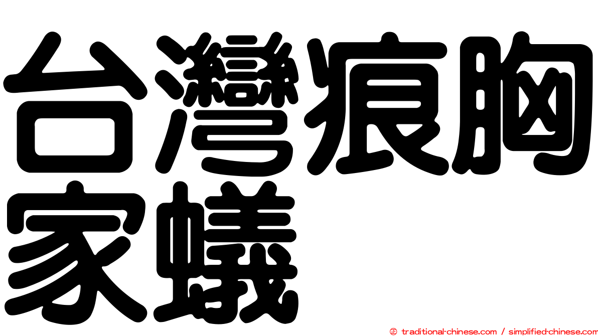 台灣痕胸家蟻