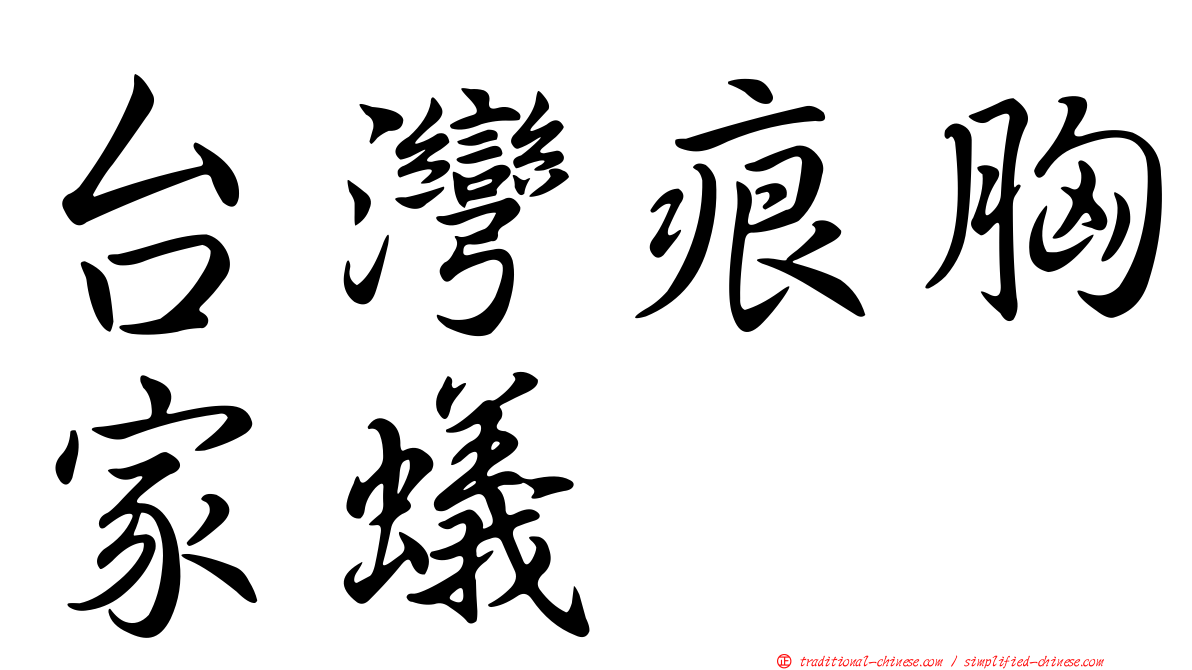 台灣痕胸家蟻