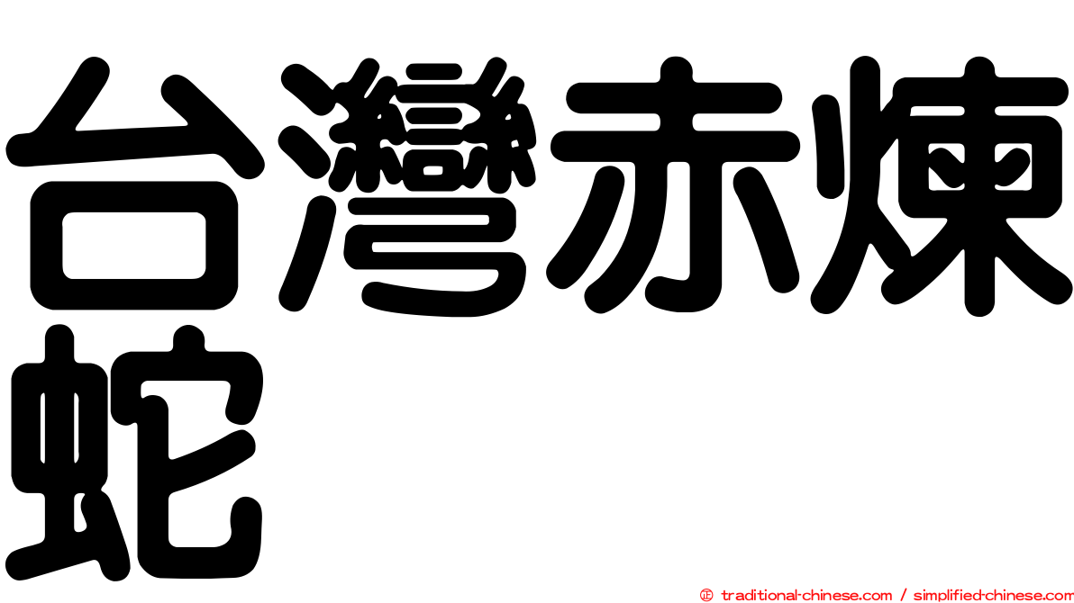 台灣赤煉蛇